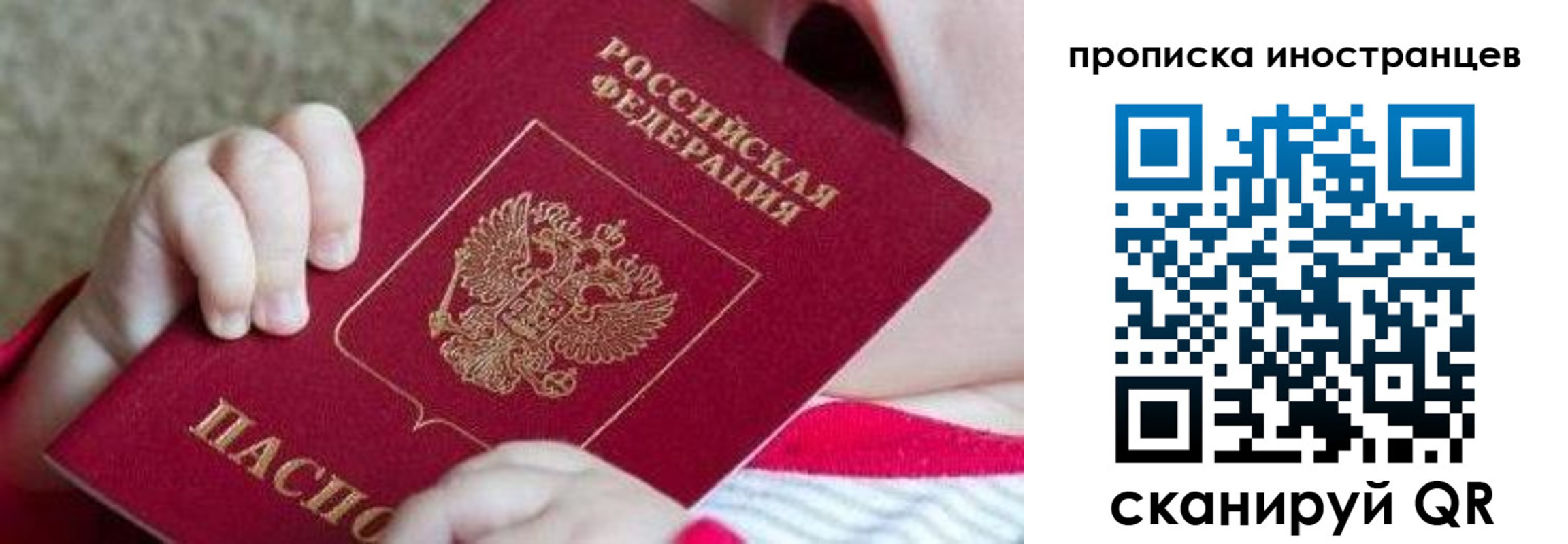временная регистрация поиск в Смоленской области